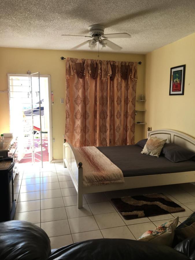 #D1 Castle Studio Wifi King Bed Ocho Rios Jamaica Bagian luar foto