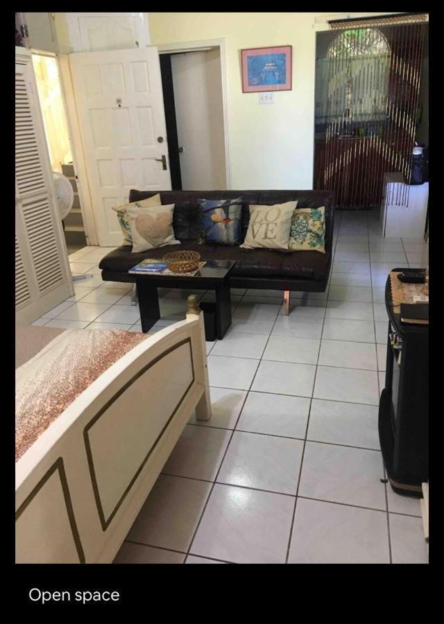 #D1 Castle Studio Wifi King Bed Ocho Rios Jamaica Bagian luar foto